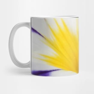 A Splash of Yellow Mug